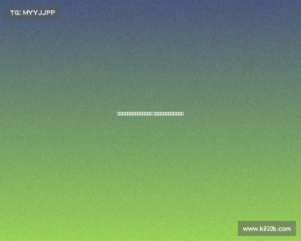 武切维奇助力公牛引援成绩显著 强调球队重建需耐心与远见 武切维奇助力公牛引援成绩显著 强调球队重建需耐心与远见